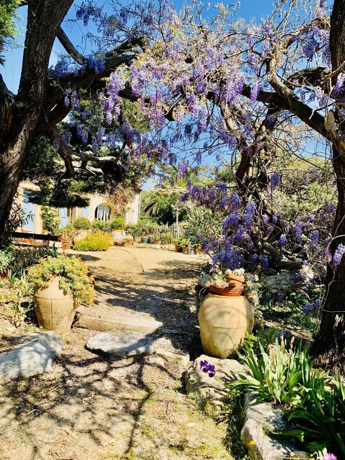 La Maison De Justine Grimaud Esterno foto