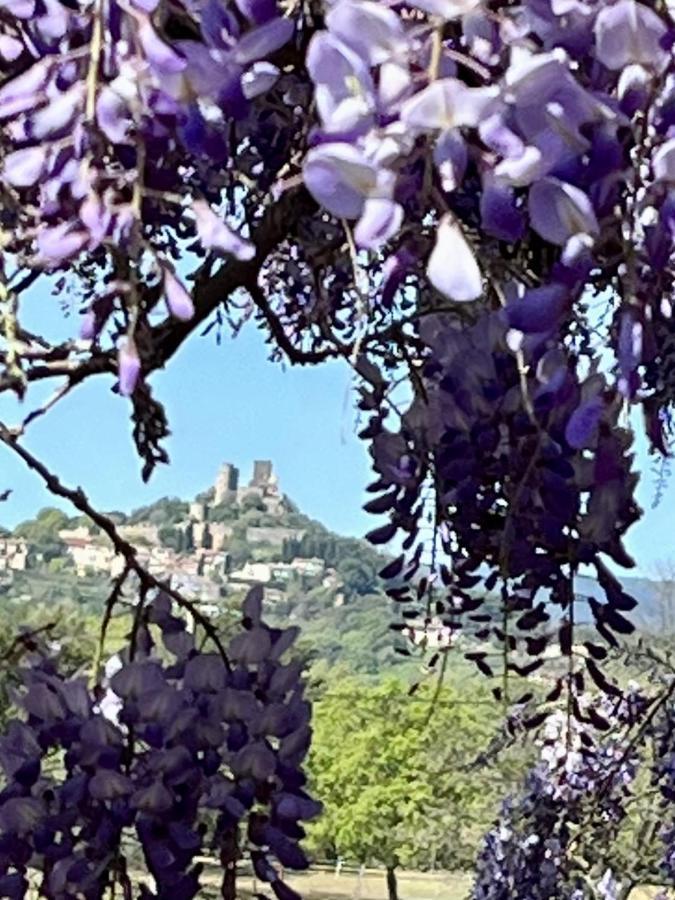 La Maison De Justine Grimaud Esterno foto