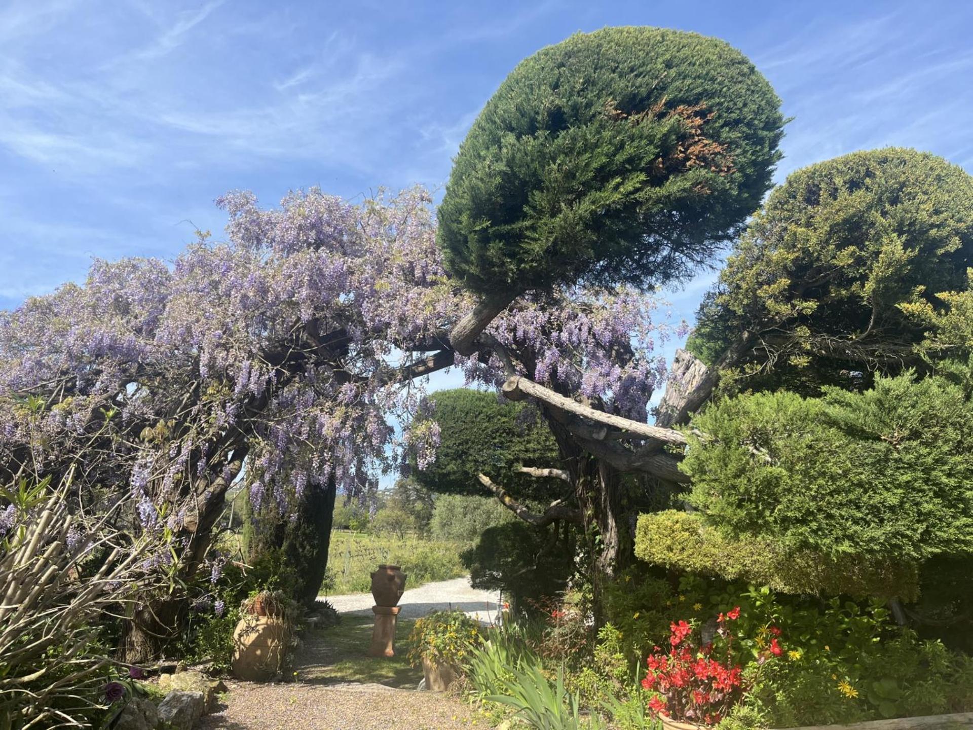 La Maison De Justine Grimaud Esterno foto